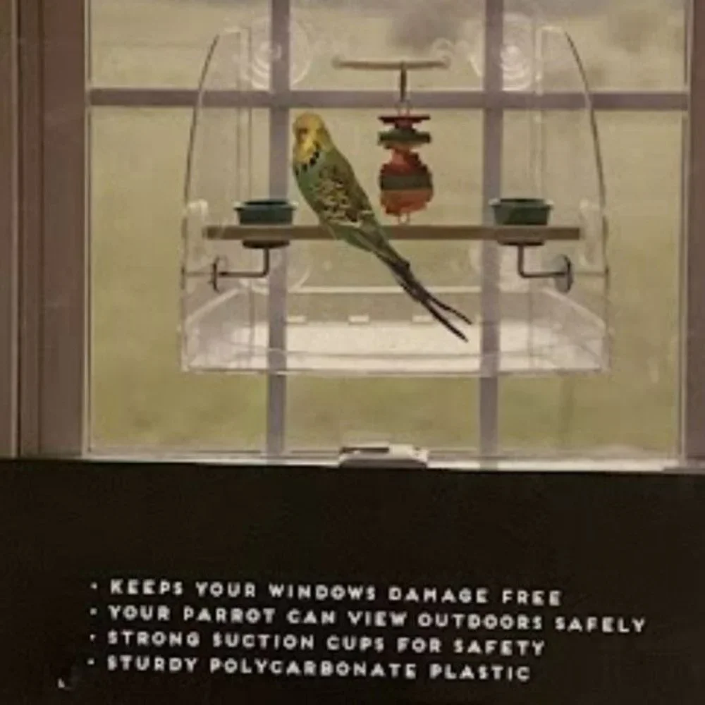 Caitec Awesome Parrot Window Play Center